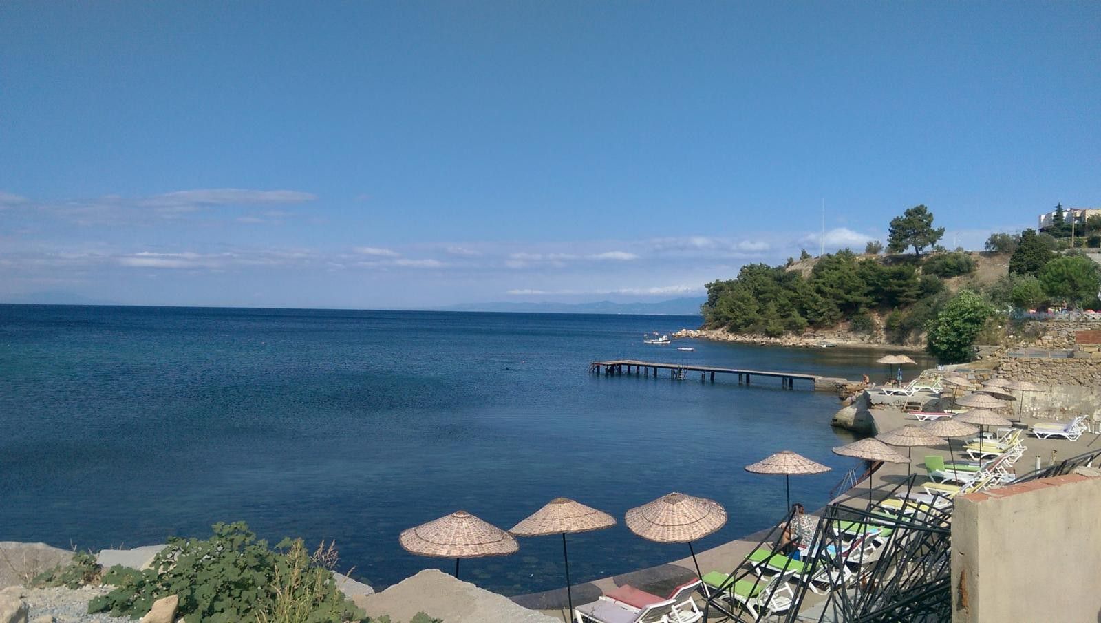 Pelitkoy Imgprms Default