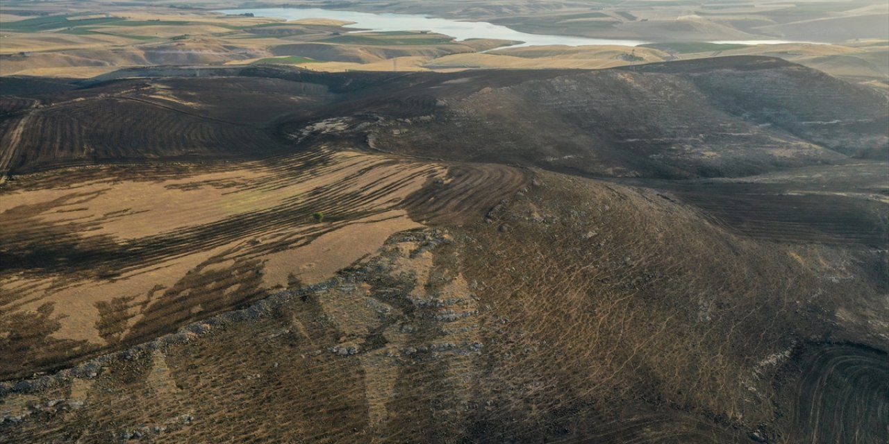 Son Dakika Diyarbakır Mardin Yangını Bölgesi Afet Bölgesi Ilan Edildi! (2)