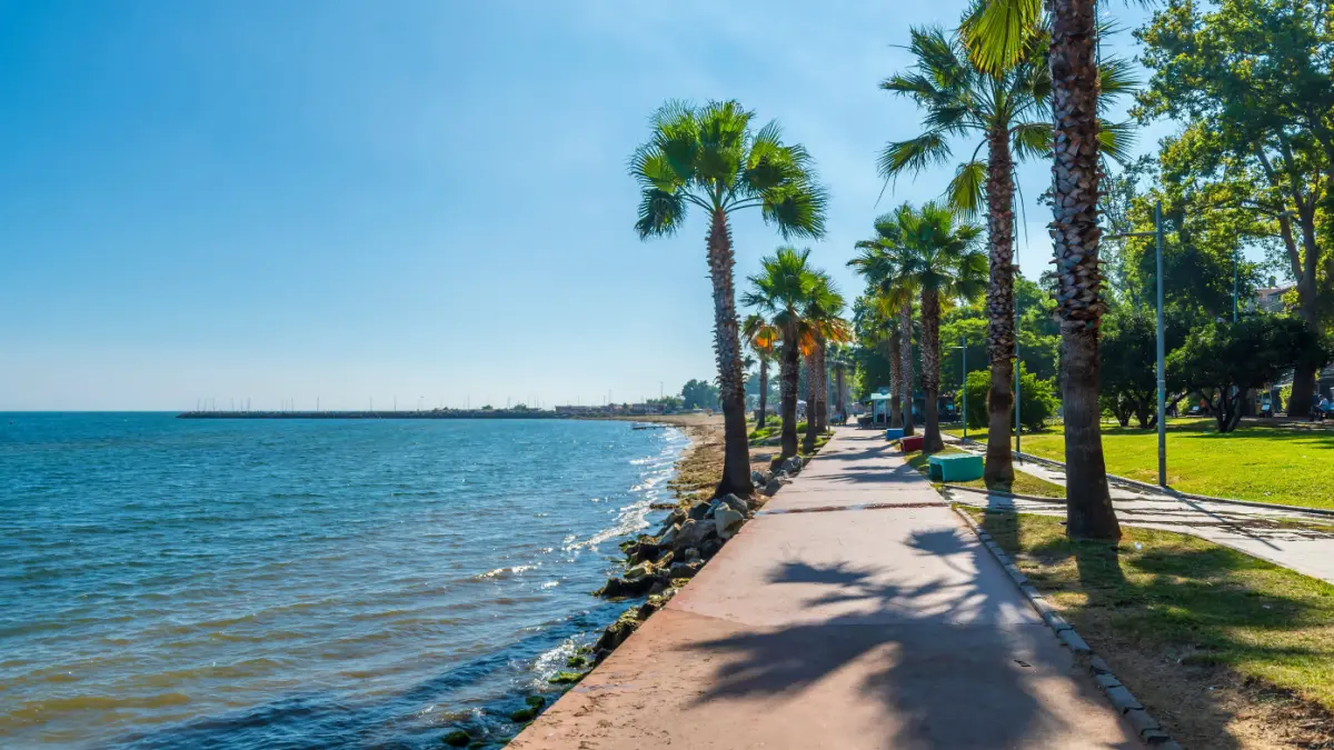 Yalova Sahil 56578 (2)