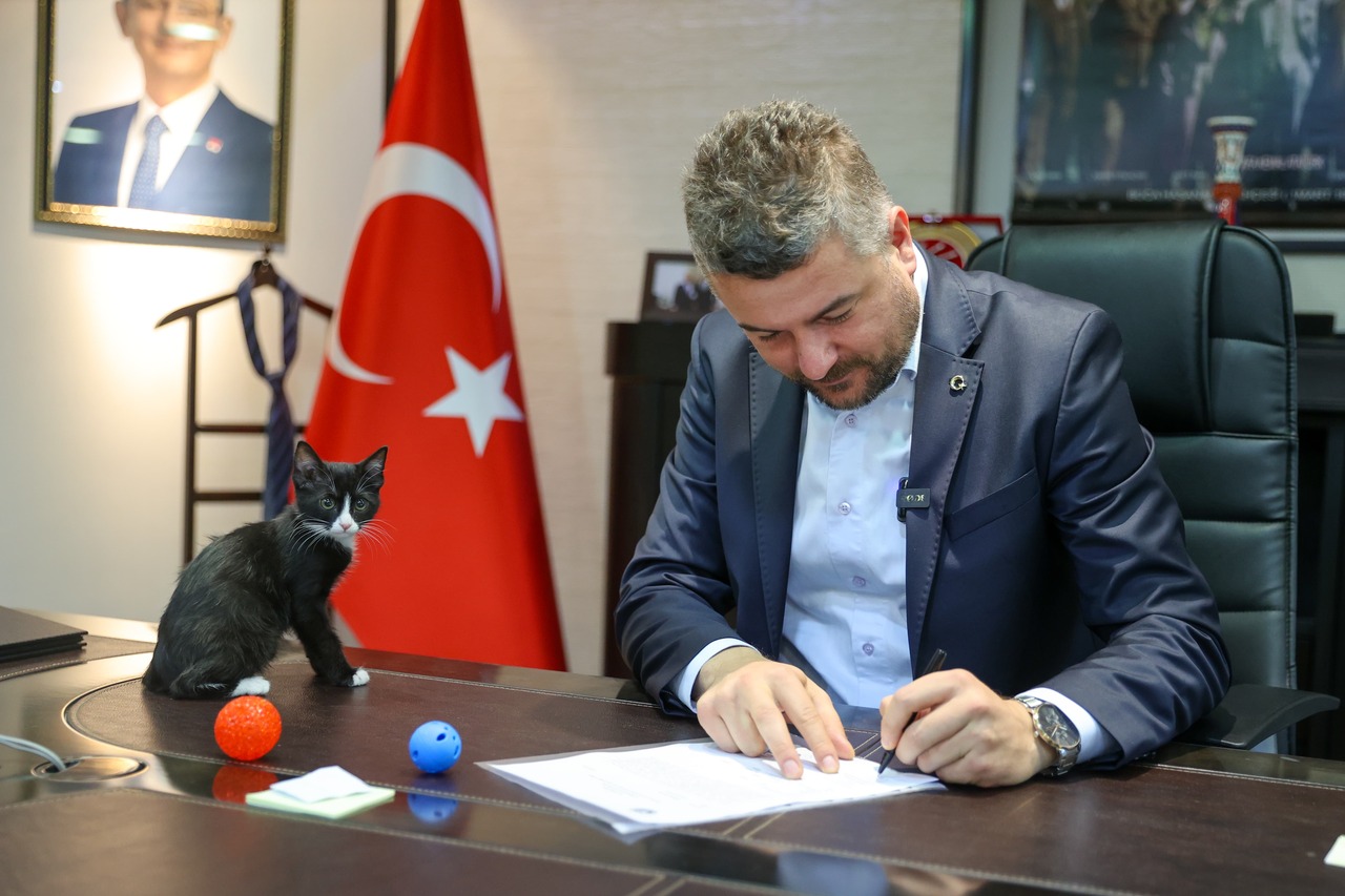 Buca Belediyesinden Hayvanseverlere Ucretsiz Cip Ve Kisirlastirma Hizmeti 1