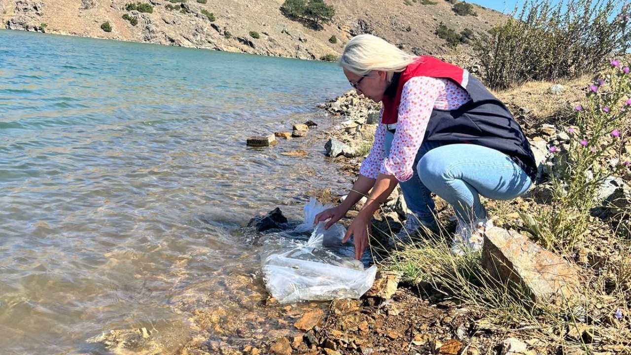 Eskisehirde Su Kaynaklari Baliklarla Dolu 715 Bin Yavru Sazan Suya Salindi (2)