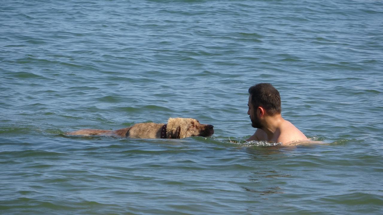 Mersin Sicakligiyla Bas Basa Agac Alti Ve Plajlar Dolu (1)