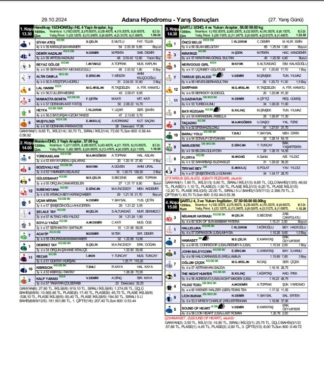 29 Ekim 2024 Adana At Yarışı Sonuçları (2)