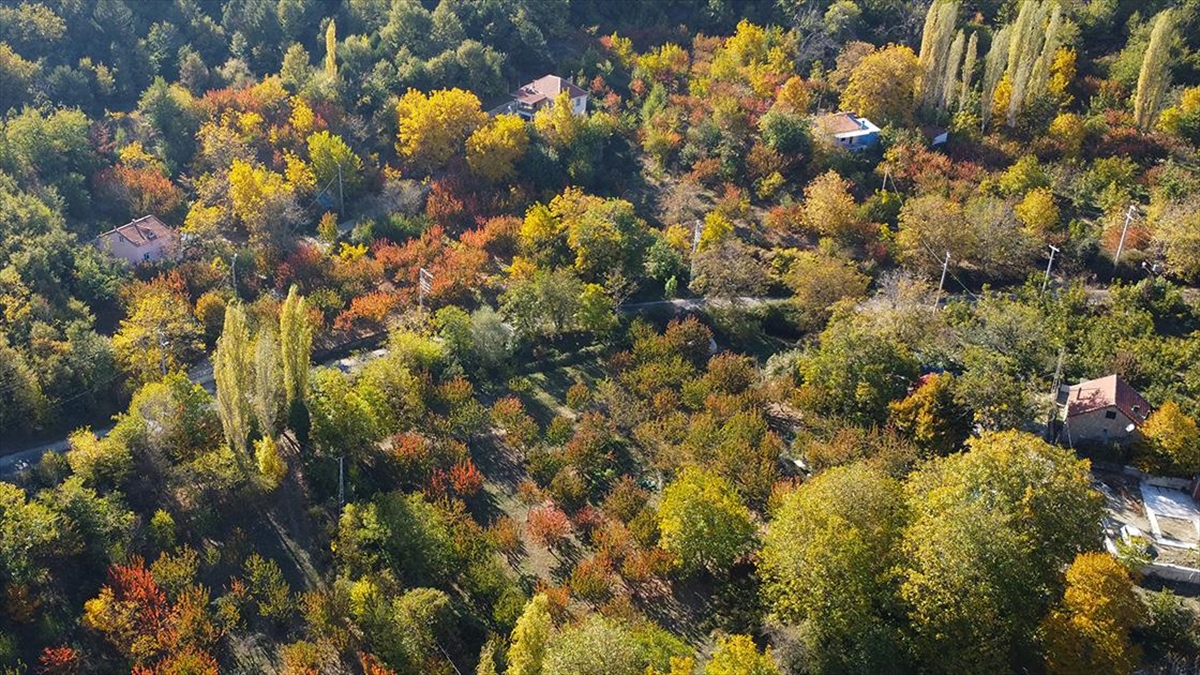 Izmirin Sakli Cenneti Ovacik Yaylasinda Sonbahar Buyusu (1)