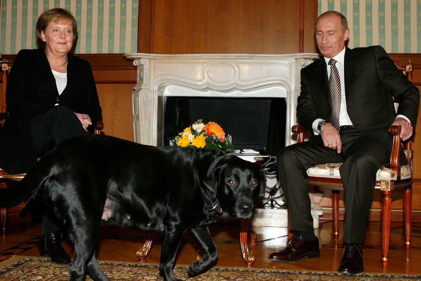 Merkel Putin Köpek