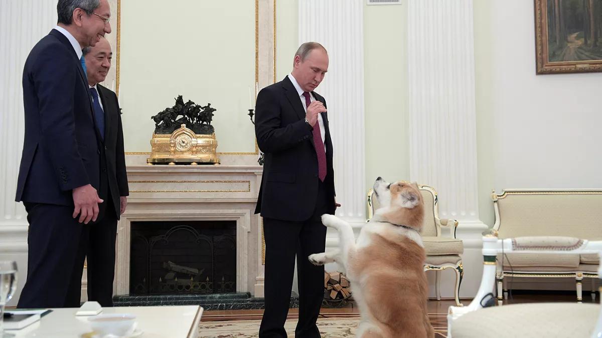 Putin Yume Dog