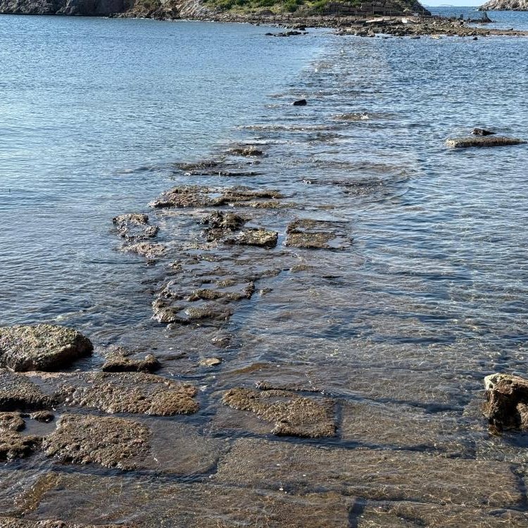 Bodrum Deniz Suyu Cekildi 3 Bin 500 Yillik Tarihi Kral Yolu Ortaya Cikti (1)