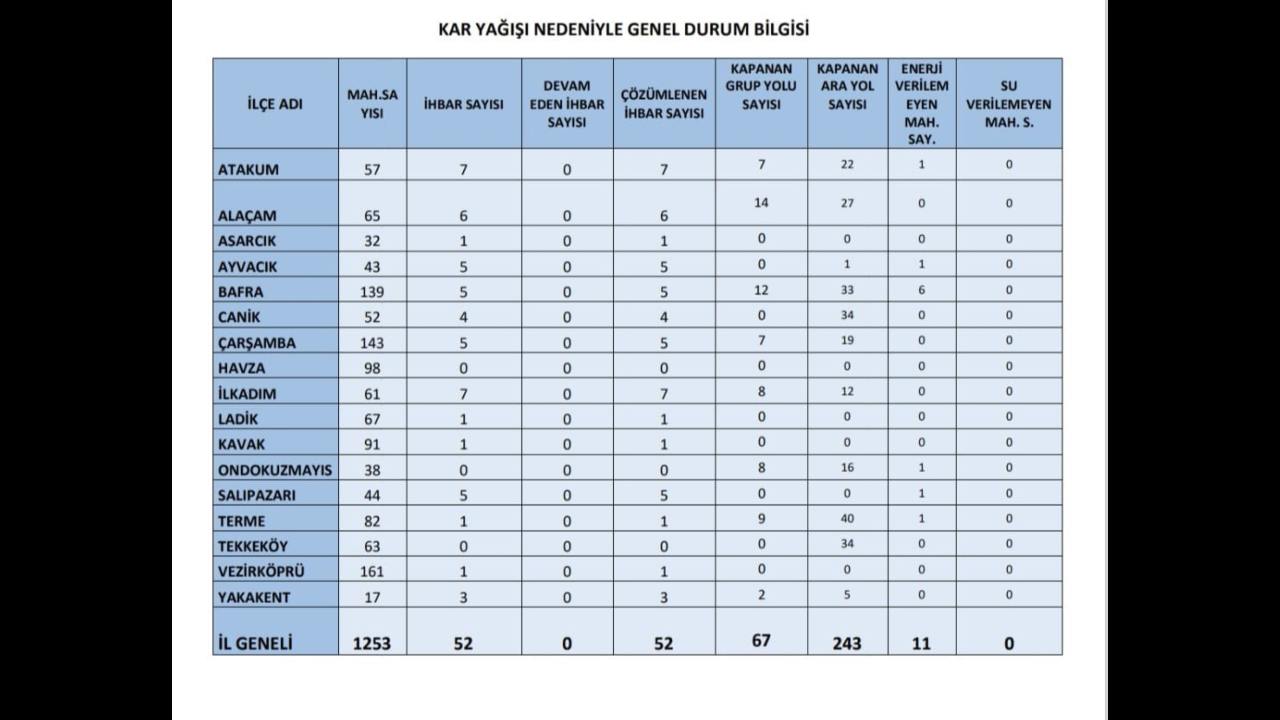 Samsun (1)-1