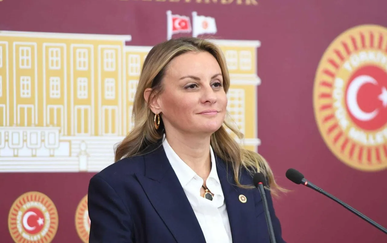 Deva Partisi Milletvekili Seda Kaya Osen Kimdir Neden Istifa Etti