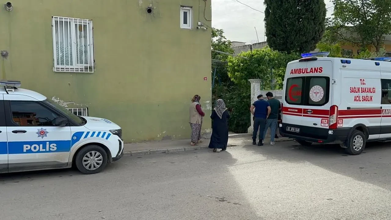 Agaca Asili Halde Bulundu (2)