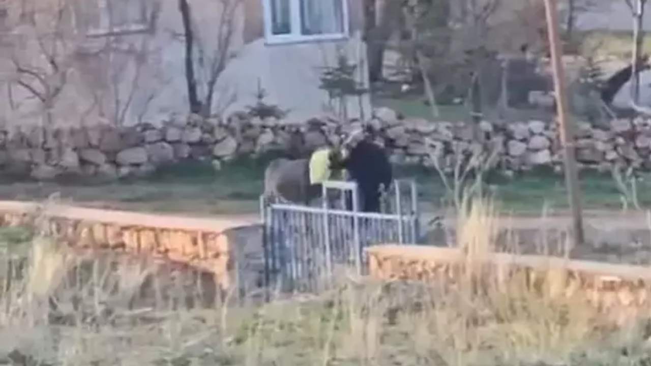 Basina Cuval Gecirdigi Esegi Doverek Oldurdu Hayvanseverler Tepkili (1)