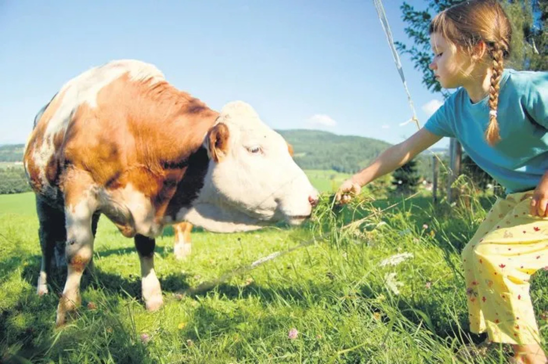 Cocuklara Kurban Nasil Anlatilir (3)