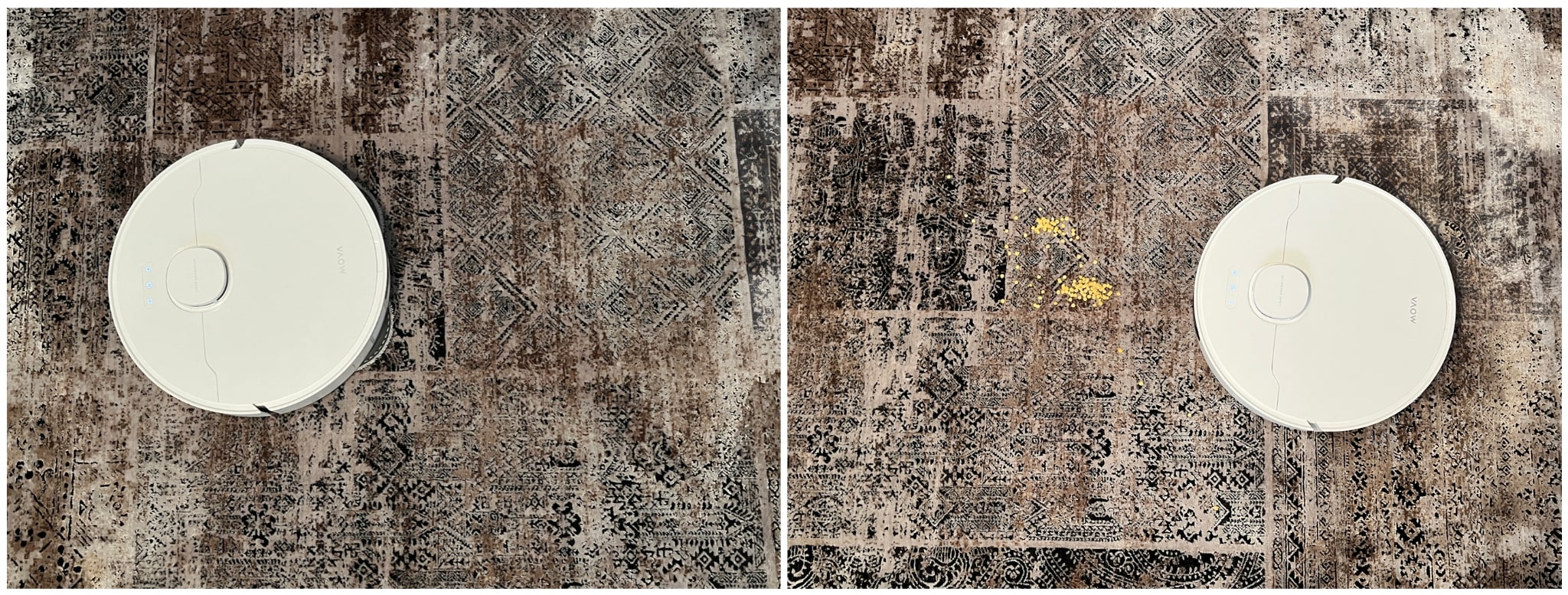 Image1 (1)-2