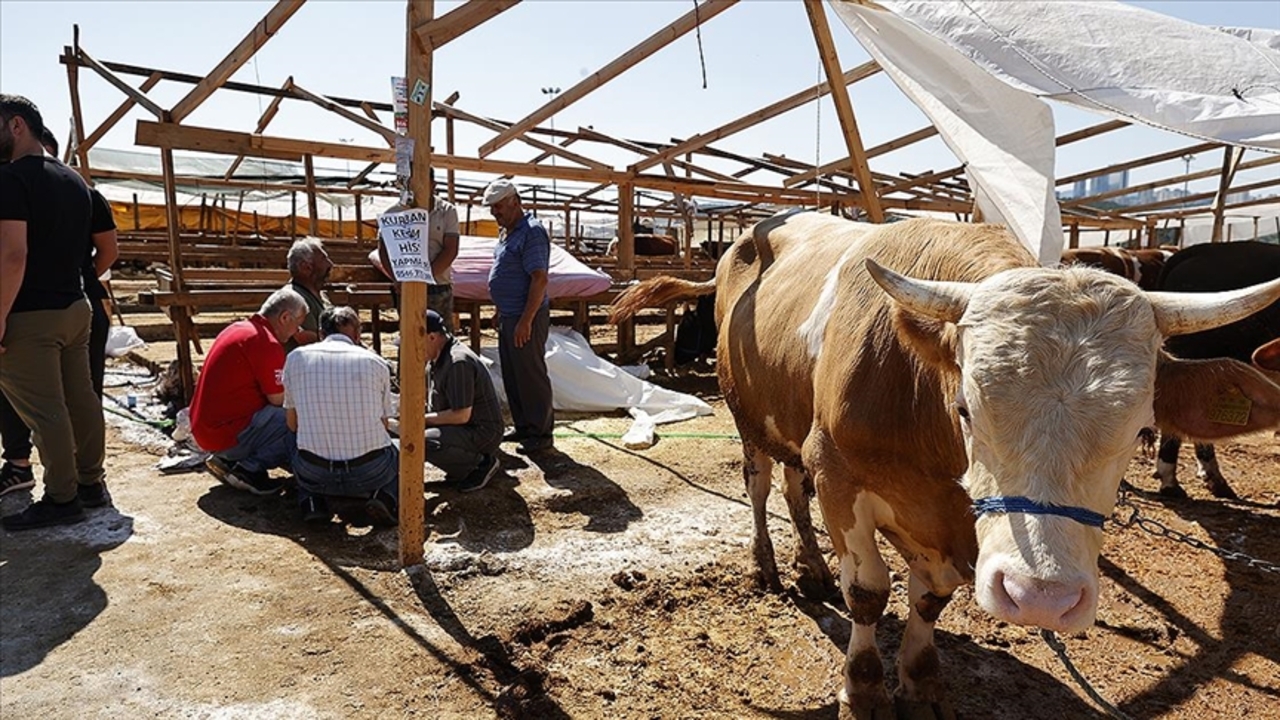 Kurban Keserken Dikkat Edilmesi Gereken Dini Kurallar Nelerdir (1)