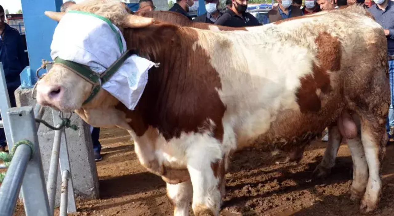 Kurban Keserken Hangi Dua Okunur (1)
