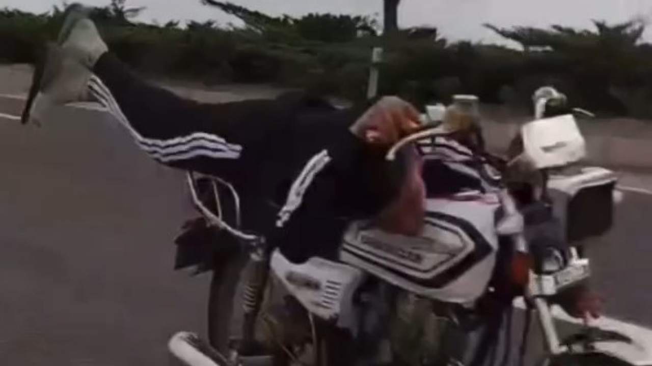 Motosiklet Uzerinde Yatarak Gitti Ehliyeti Suresiz Iptal Edildi (2)