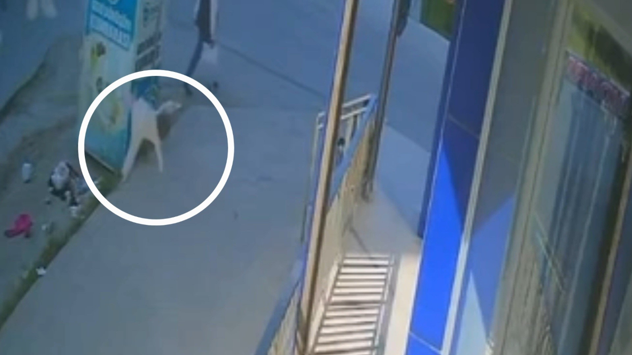 Olay Ani Kamerada 5 Kattan Dusen Bebek Hayatini Kaybetti