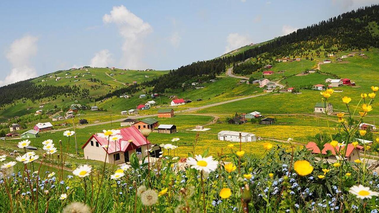 Ruyada Yayla Gormek Ne Demek Ruyada Yayla Evinde Oldugunu Gormek Ne Anlama Geliyor (4)