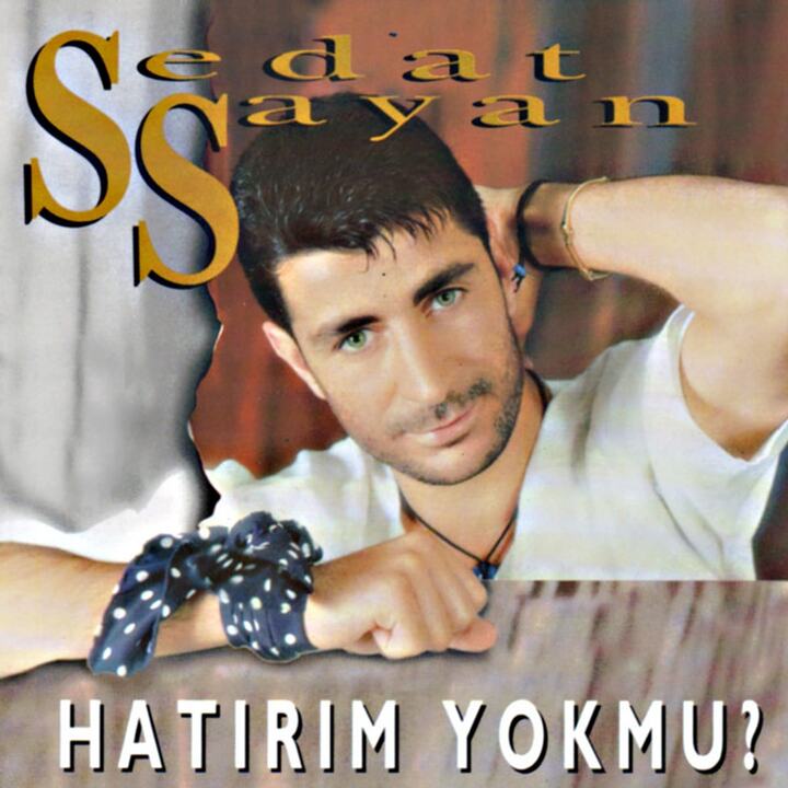 Sedat Sayan Kimdir Seda Sayanin Kardesi Sedat Sayan Nereli Simdi Ne Yapiyor (2)