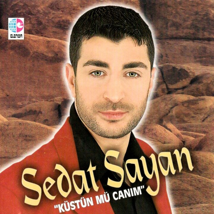 Sedat Sayan Kimdir Seda Sayanin Kardesi Sedat Sayan Nereli Simdi Ne Yapiyor (4)