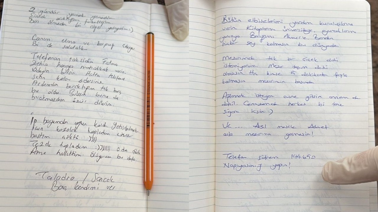 Sena Duzgun Instagram Hesabi Ne Sena Duzgun Mektubunda Neler Yazdi