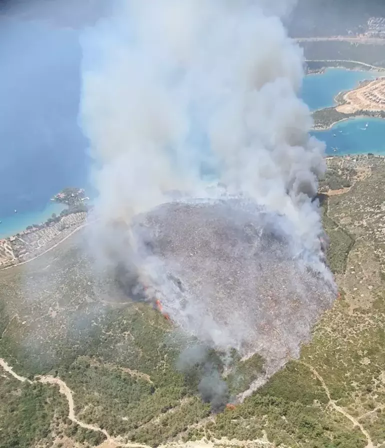 Karaburunda Yangina Mudahale Ediliyor (2)