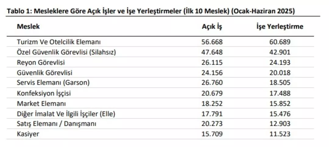 Iskurun En Cok Aranan Isler Listesi Belli Oldu Ilk Sirada Ne Muhendis Ne Garson (1)