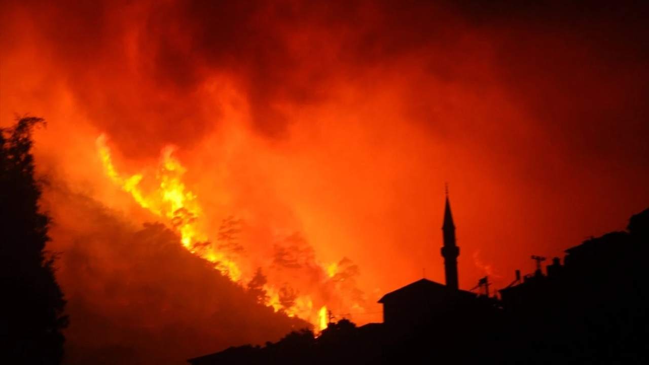 Izmir Odemis Yangininda Yatalak Hasta Yanarak Hayatini Kaybetti