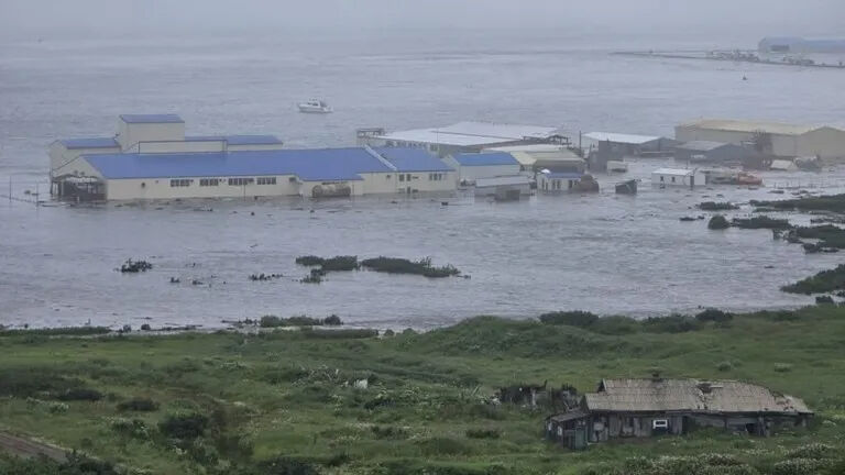 Tsunami Japonya Ve Hawaiiyi Vurdu 60 Santimetrelik Dalgalar Kiyiya Ulasti (1)