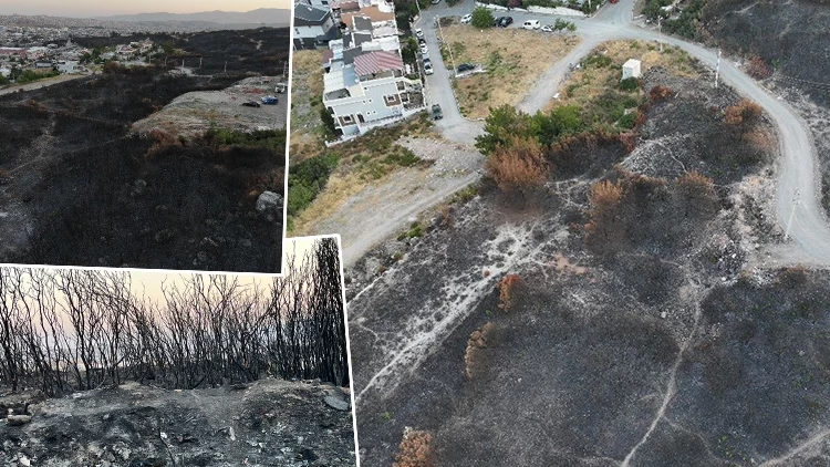 Izmirde Yangin Bolgesinde Son Durum Havadan Drone Ile Ilk Goruntuler Paylasildi