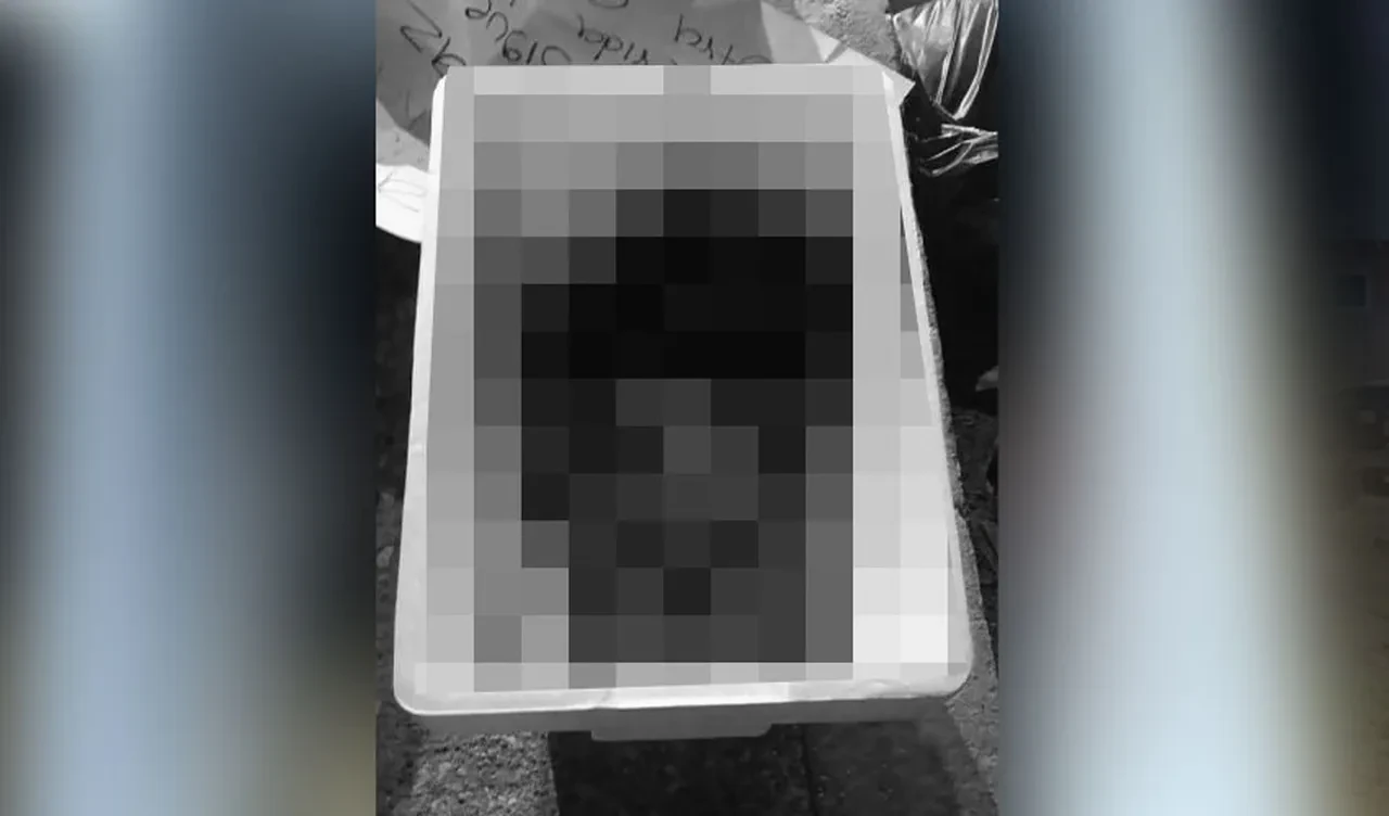 Meksikada Vahset 6 Kesik Insan Basi Bulundu (1)