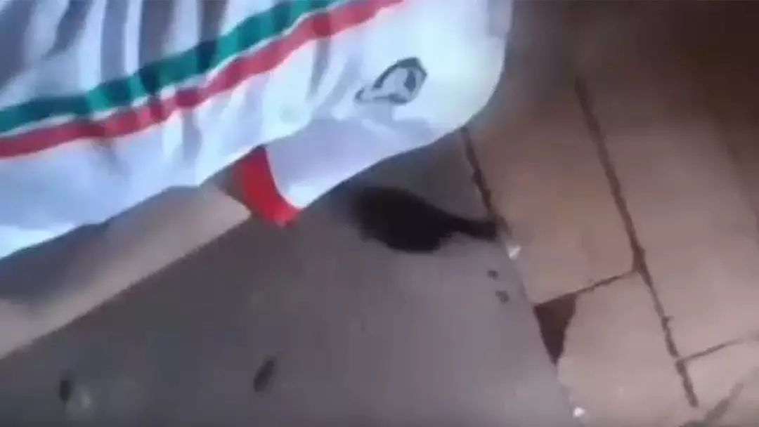 Nevzat Bahtiyar'ın Telefonunda Dikkat Çeken Video