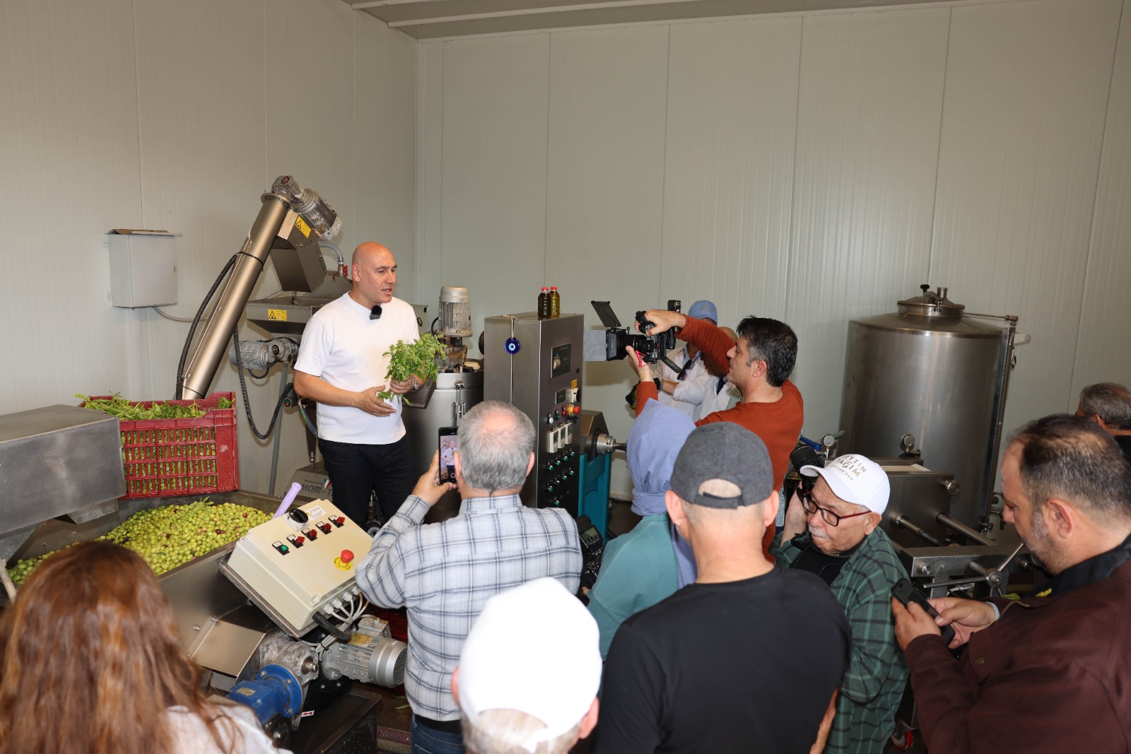 Akhisarda Zeytin Hasadi Coskuyla Basladi (1)