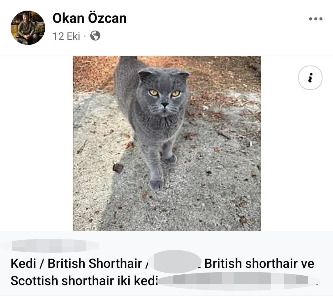 Cins Kedi Satip Aldigi Tufekle Katliam Yapti 2 Olu 2 Yarali-1