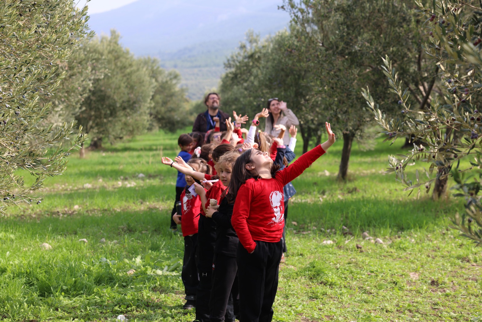 Soma Zeytinyaginda Dunya Markasi Olma Yolunda (3)