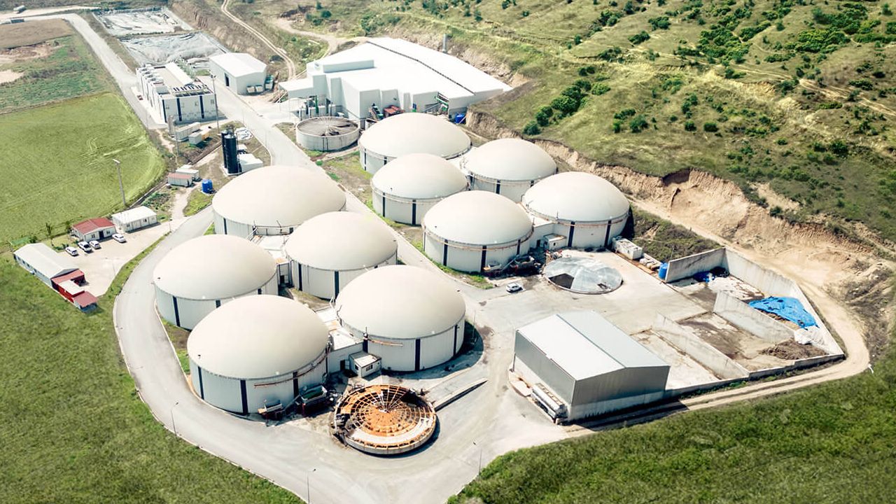 Arf Bio Ne Is Yapar Arf Bio Sahibi Kim