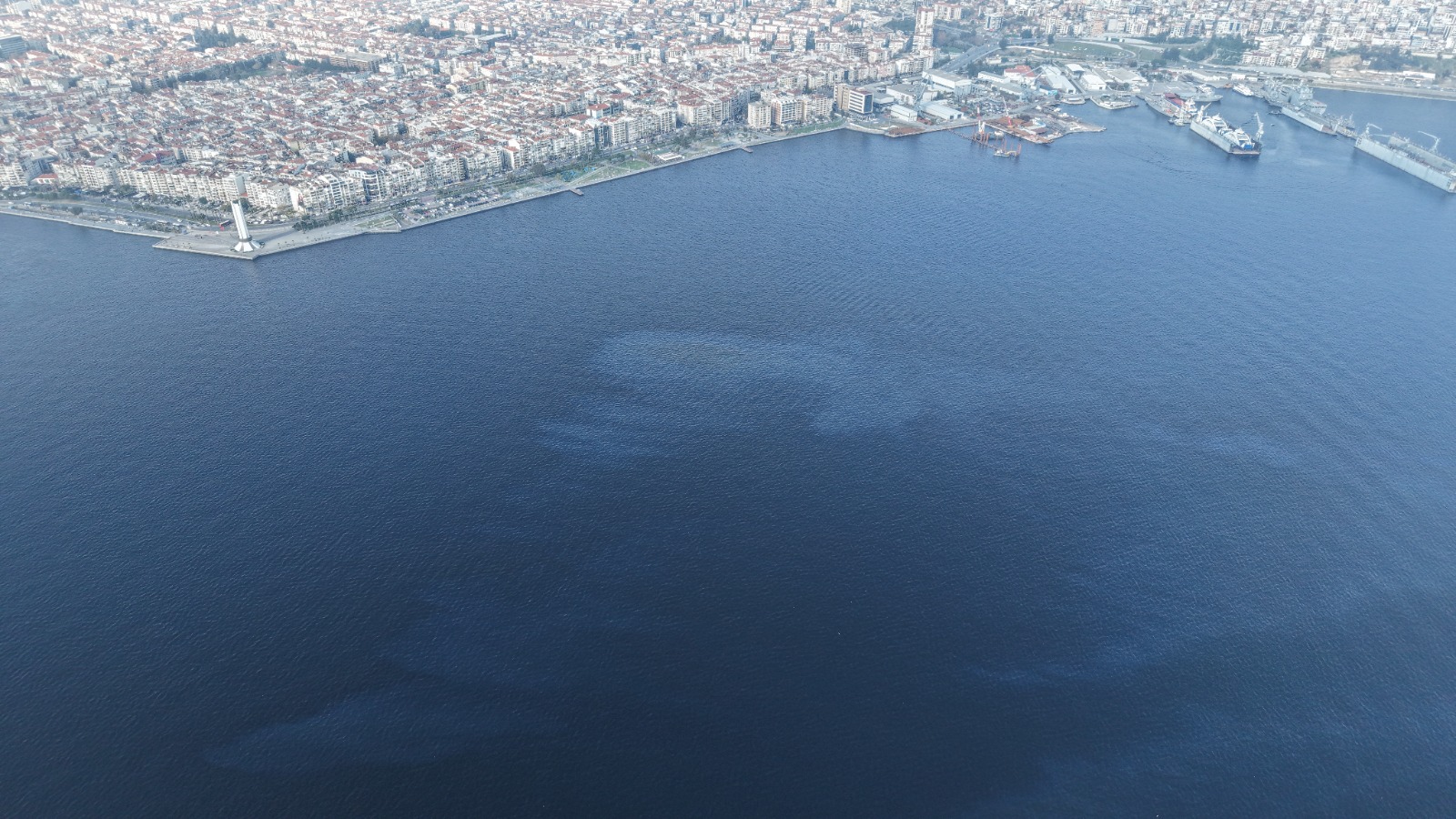 Baskan Cemil Tugay Izmir Korfezi Bir Kez Daha Kirletildi (2)