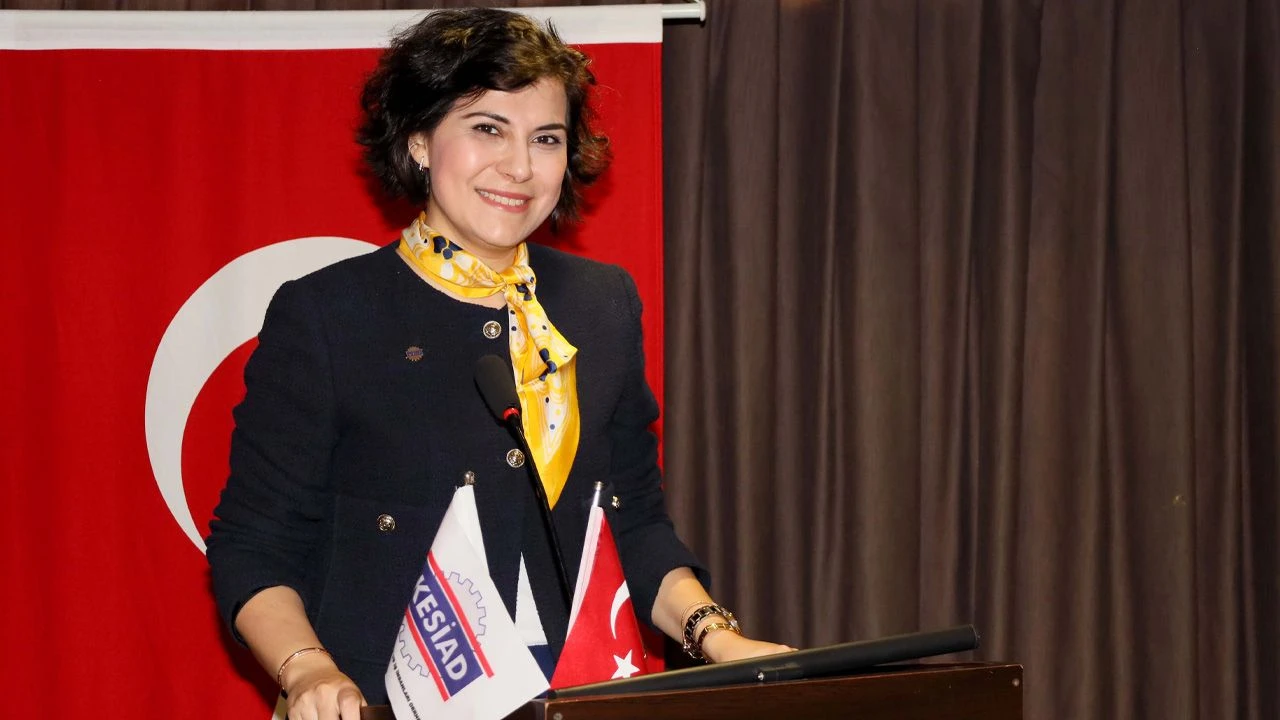 Izmirde 22 Milyarlik 161 Fabrika Satisa Cikti (3)