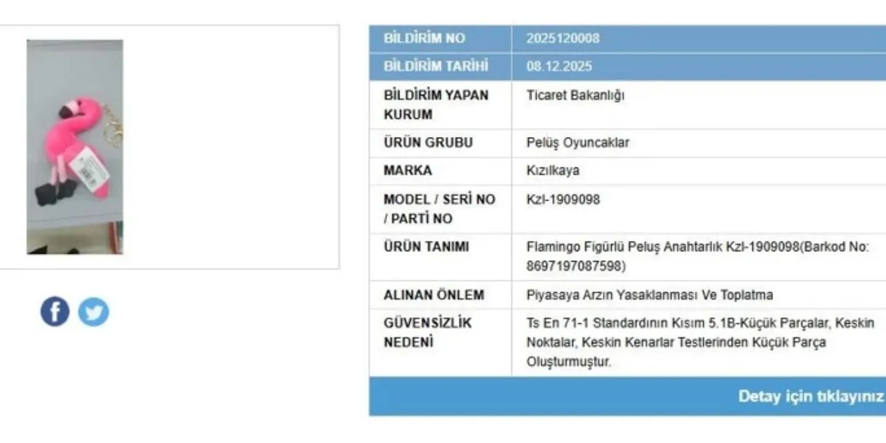 Satisi Yasaklandi Bakanlik Dugmeye Basti Bir Oyuncagi Piyasadan Toplatiyor