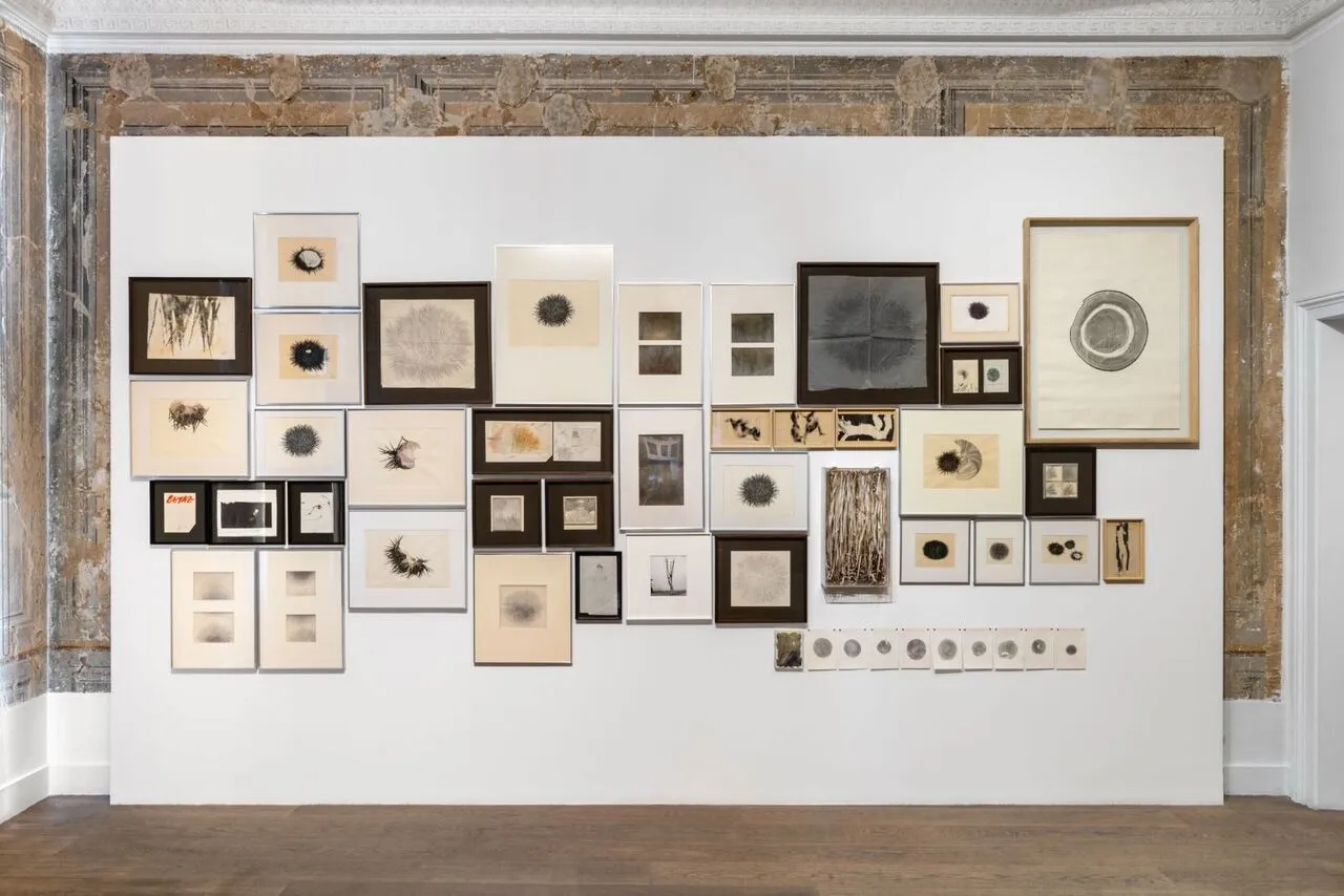 Kayada Buyudum Ben Galeristte Acildi (2)