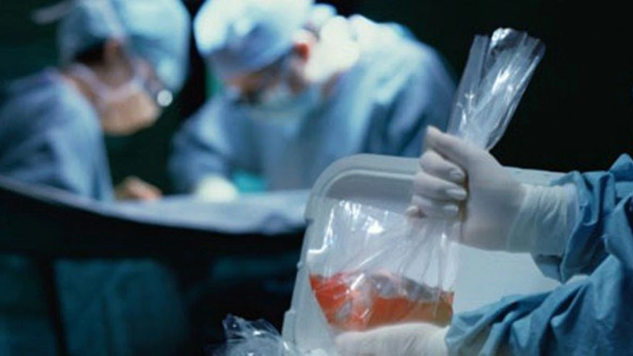 Organ Nakli Poliklinigi