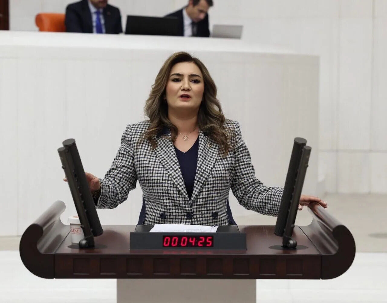 Tuik Verileri Tartisma Yaratti Sevda Erdan Kilictan Issizlik Oranina Tepki