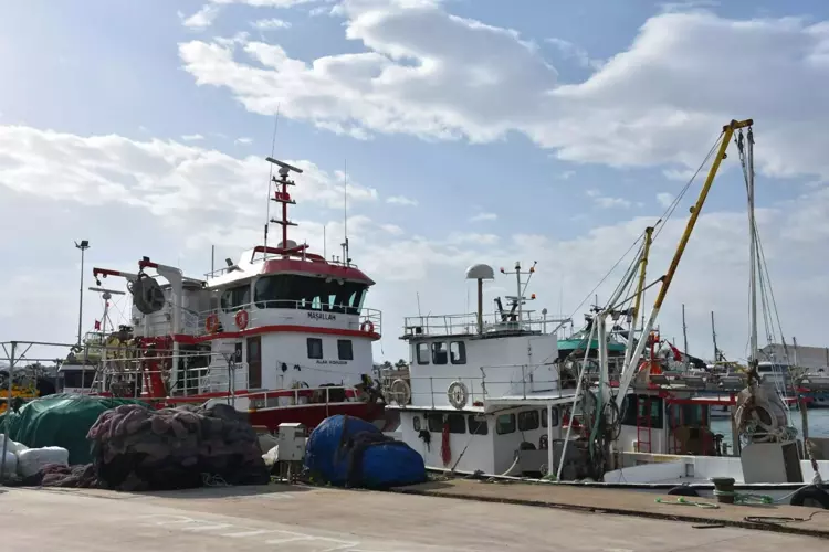 695F5Ef3A322C59Cc785E85D