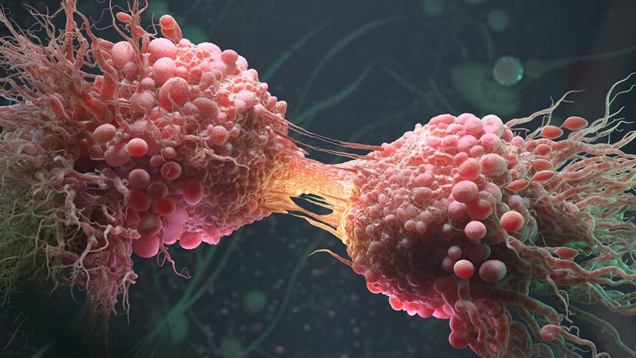 Kanser Artik Gencleri De Hedef Aliyor-1