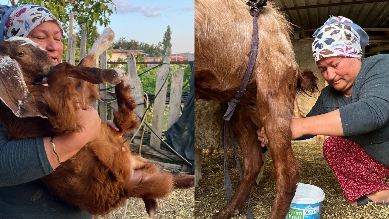 Kirsalda Hayat Kadinlarin Omuzlarinda Seydikemerde Bir Kadinin Gorunmeyen Emegi (5)