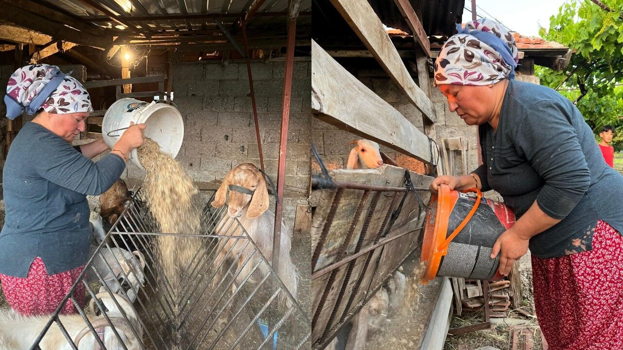Kirsalda Hayat Kadinlarin Omuzlarinda Seydikemerde Bir Kadinin Gorunmeyen Emegi (6)