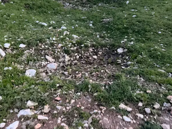 Gulistan Doku Dosyasinda Yeni Gelisme Gizli Tanigin Tarif Ettigi Noktada Mezar Bulundu (2)