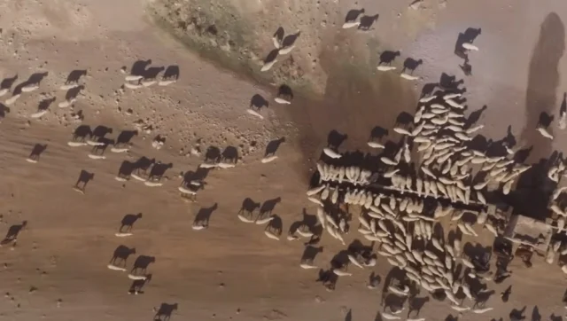 Sevdigim Sensin Dizisi Nerede Cekiliyor Gozlutepe Koyu Nerede Gercek Mi-1