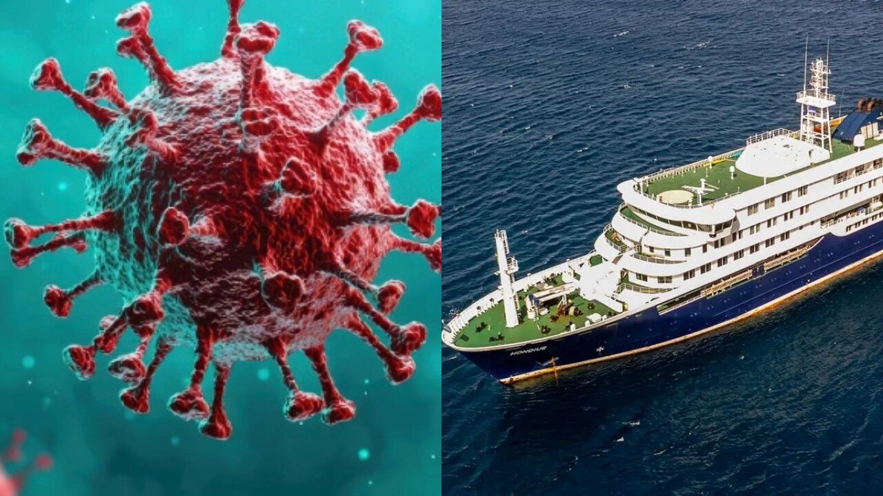 Hantavirus Tedavisi Var Mi Olumcul Mu Hantavirus Belirtileri Neler Turkiyede Var Mi