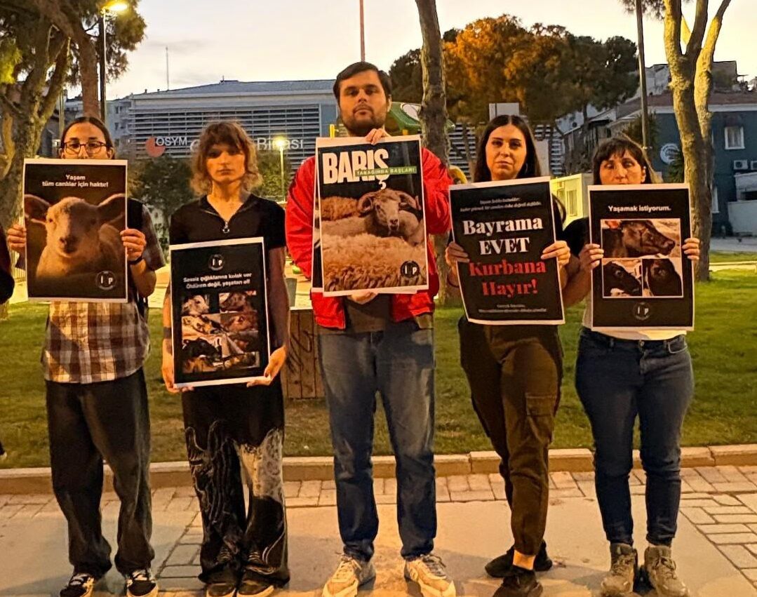Paylasmayi Buyutelim Ama Kimseyi Kurban Etmeyelim (3)